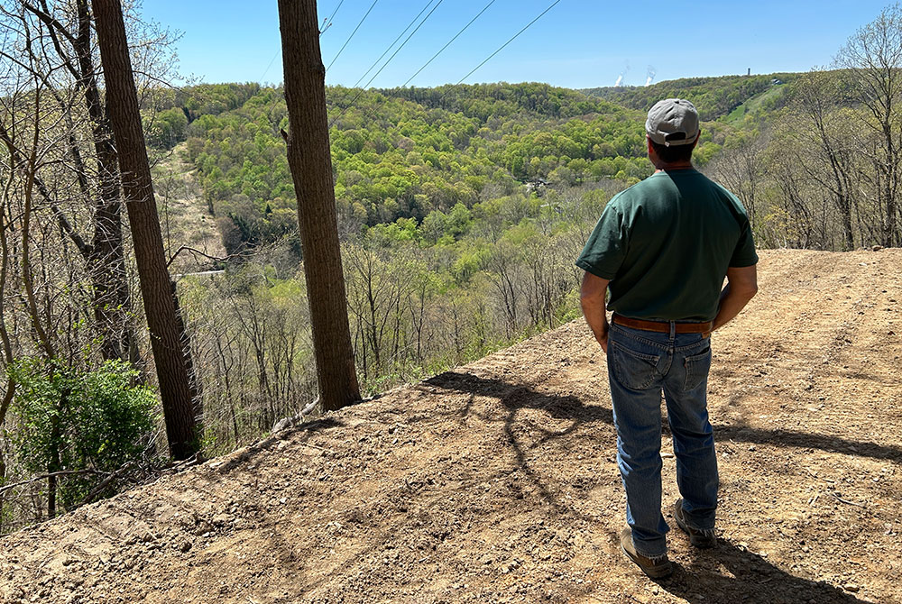 Person looking into forest