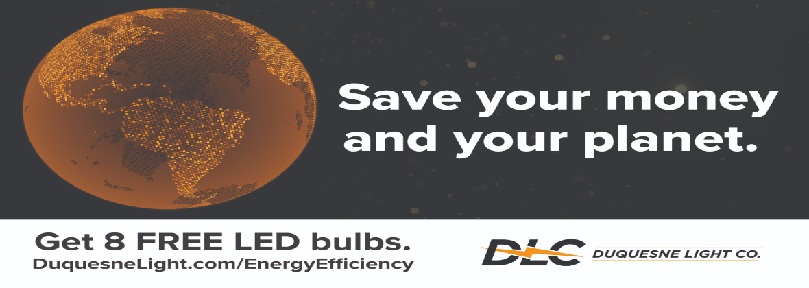 online energy audit