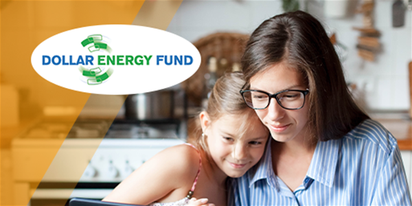 Duquesne Light Cap Program Swissvale | Shelly Lighting