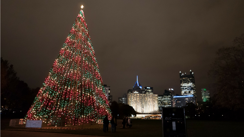 Duquesne Light Company